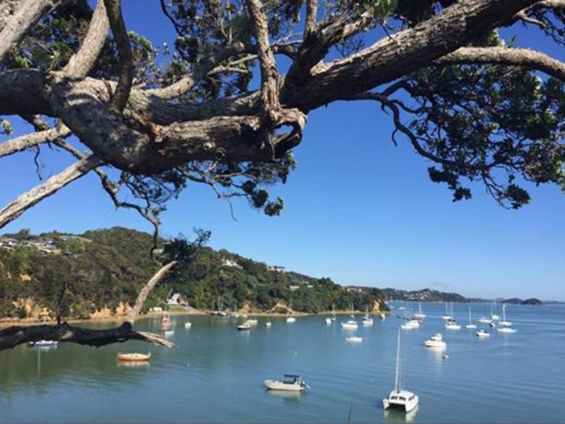 Opua Boutique Seaview Motel image