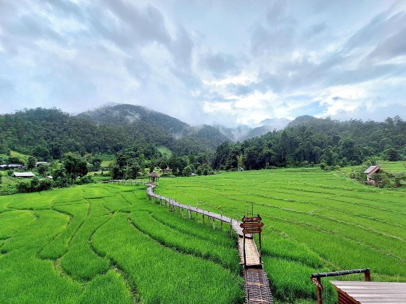 Pai Village Farm Homestay image