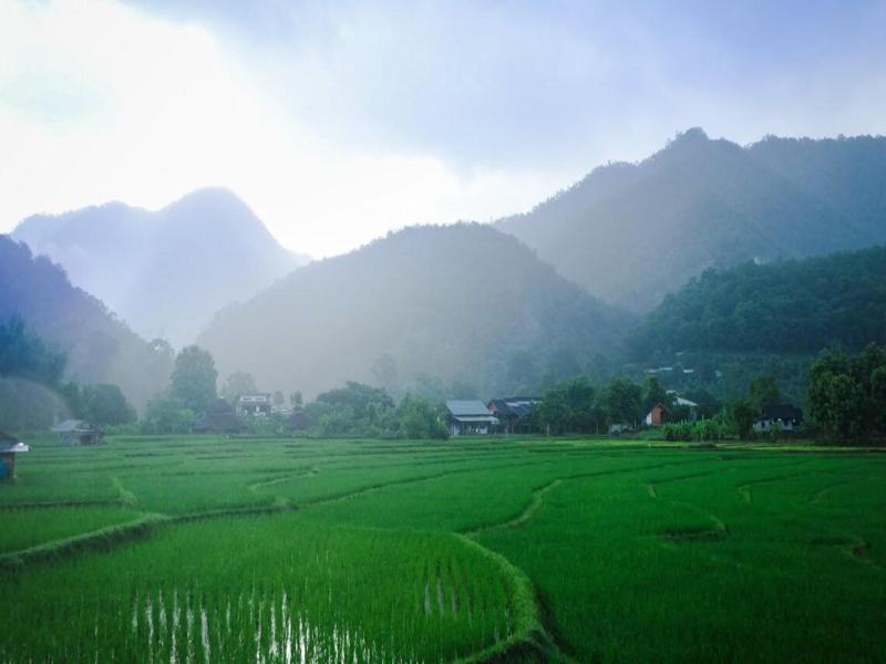 Pai Village Farm Homestay image