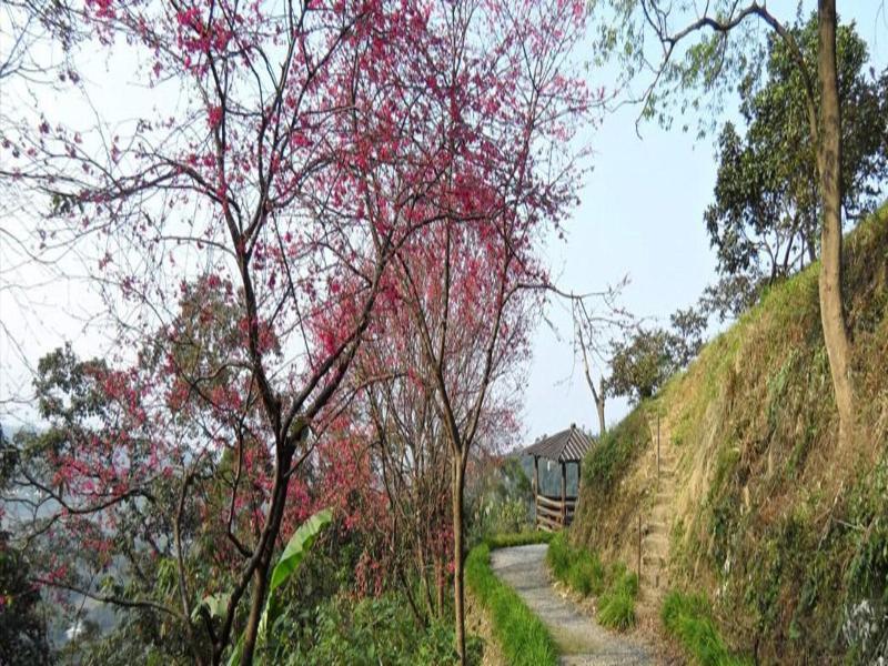 Shangrila Leisure Farm image