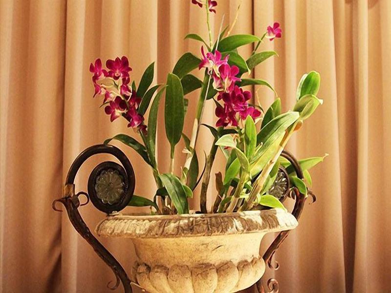 Shangrila Leisure Farm image