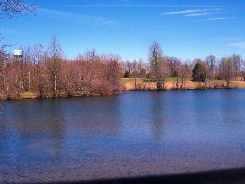 The Smokehouse Lodge And Cabins image