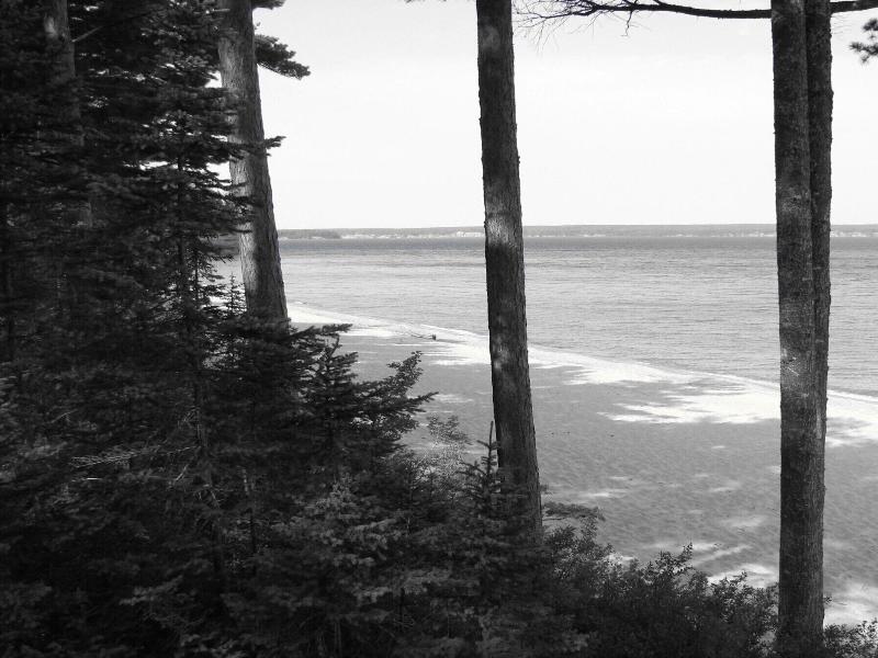White Pine Lodge