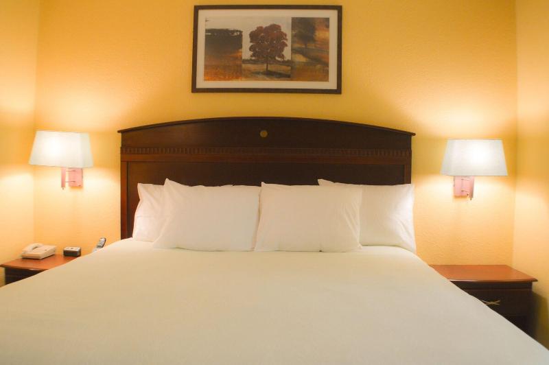 Magnolia Inn And Suites image