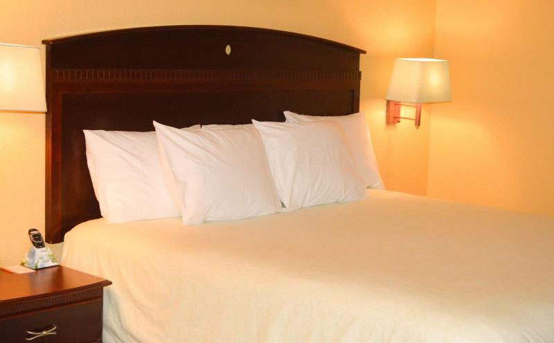 Magnolia Inn And Suites image
