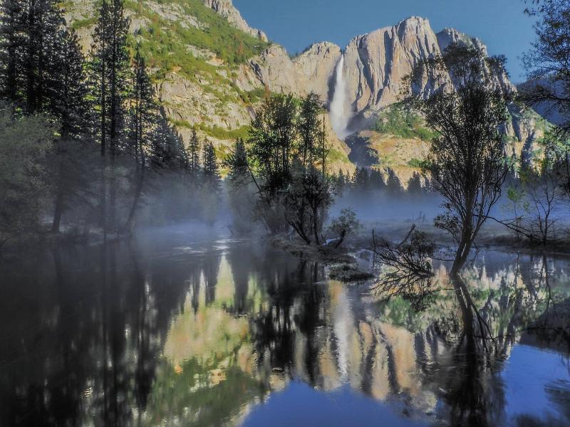 The Redwoods In Yosemite — general view