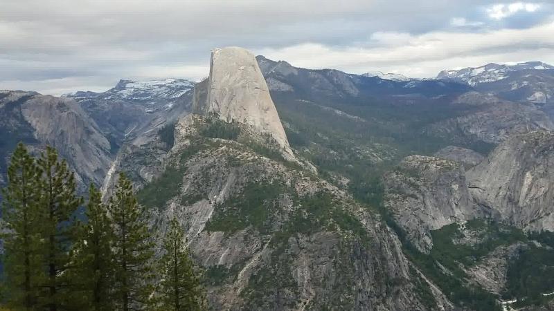 The Redwoods In Yosemite image