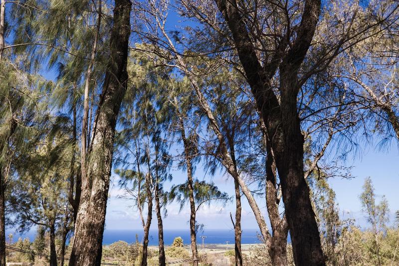 Lumeria Maui image