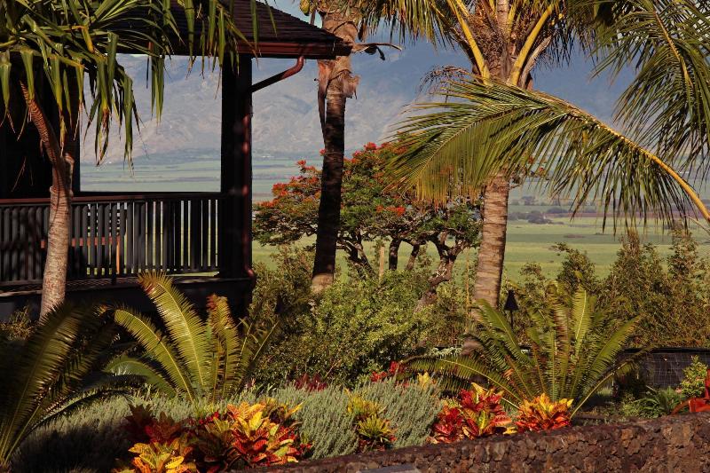 Lumeria Maui image