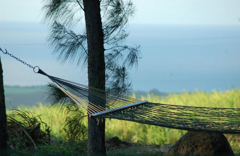 Lumeria Maui image