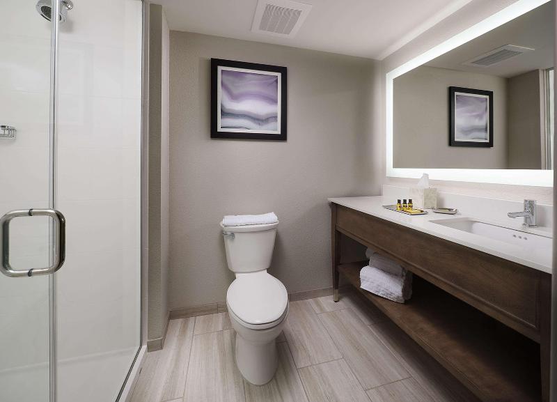 Best Western Plus Desoto image