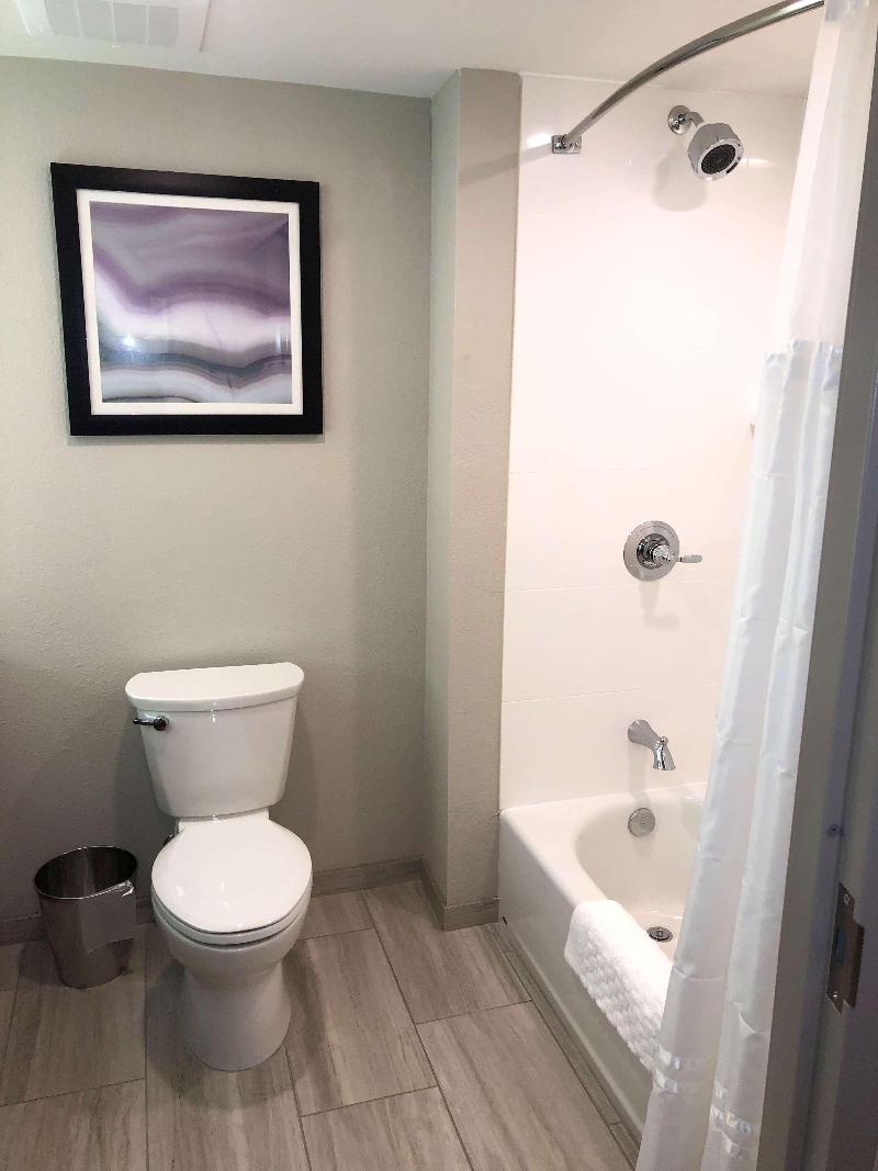 Best Western Plus Desoto image