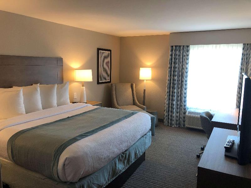 Best Western Plus Desoto image
