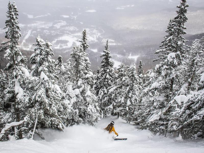 Timberline Mountain Lodge At Jay Peak image