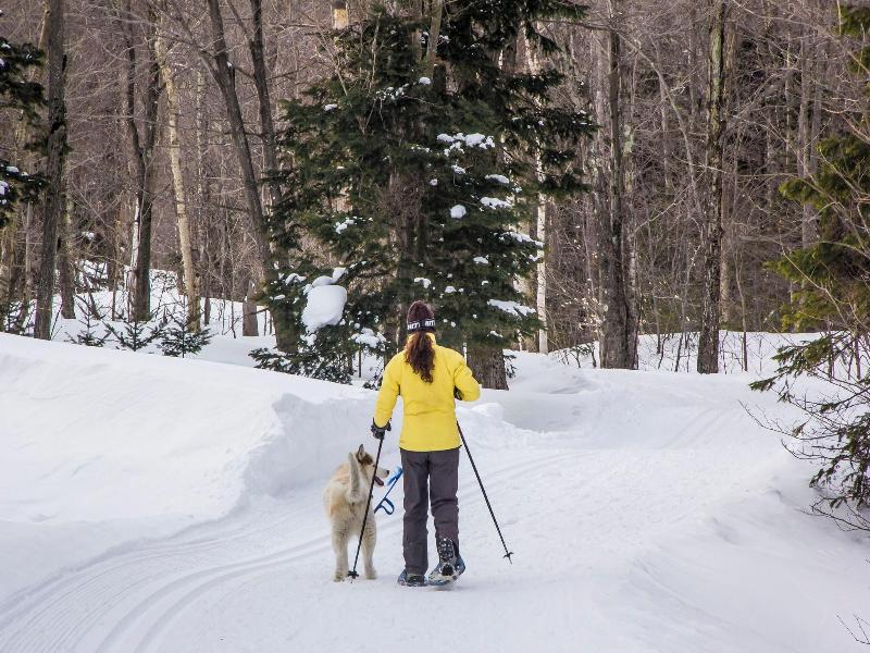 Timberline Mountain Lodge At Jay Peak image