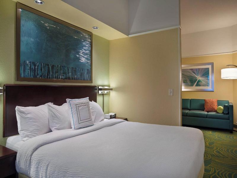 Springhill Suites By Marriott St Petersburg Clearw image
