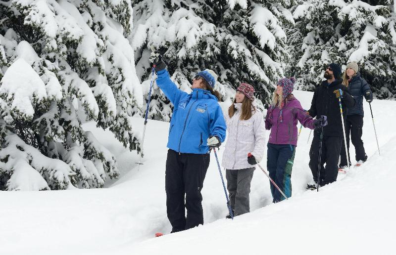 Sioux Lodge Suites By Grand Targhee Resort image