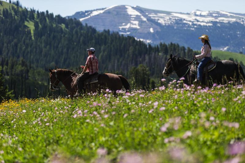 Sioux Lodge Suites By Grand Targhee Resort image 3