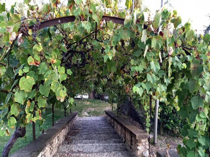 Residence delle Tre Corone image