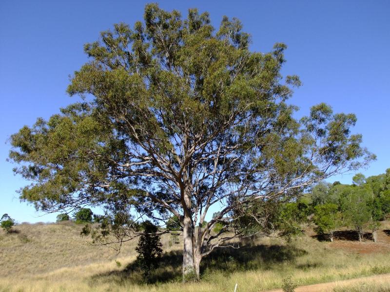 Deshons Retreat — general view