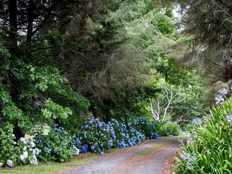 Doolan's Country Retreat image
