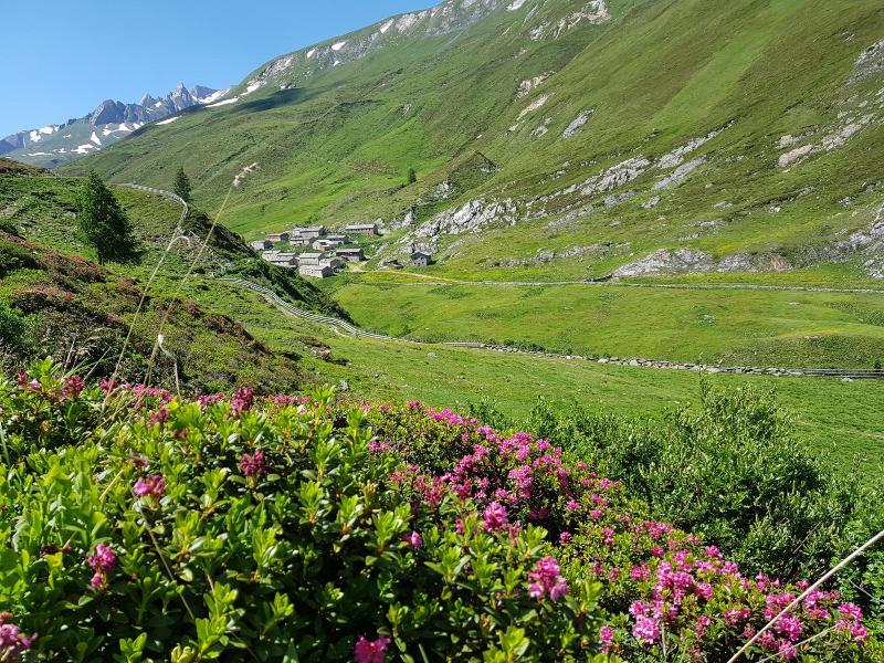 Gasthof Edelwei image
