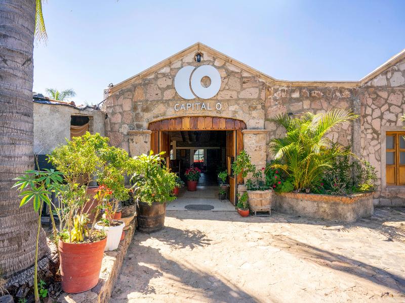 Collection O Hotel Monte Agave