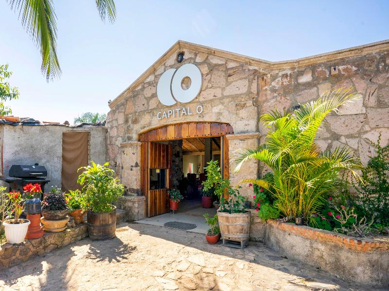 Collection O Hotel Monte Agave