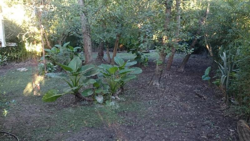 La Viña Casas Isleñas — photo 3