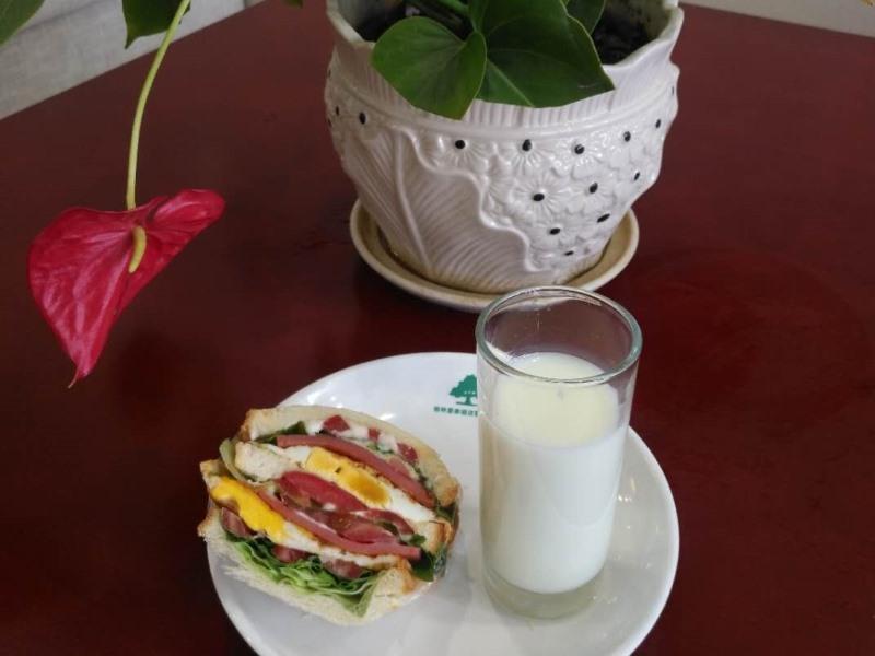 Greentree INN Shangqiu Suiyang Avenue Hotel