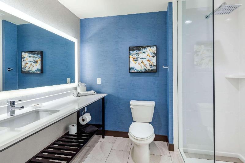 Cambria Hotel Davenport Quad Cities image