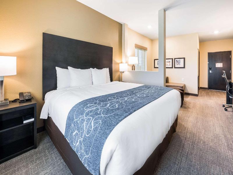 Comfort Suites Marysville Columbus - Northwest image