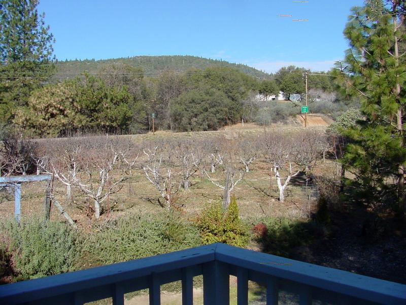 Apple Blossom Inn image