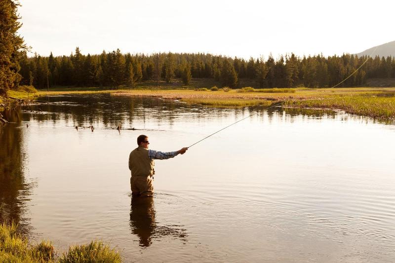 Headwater S Lodge Cabins At Flagg Ranch image