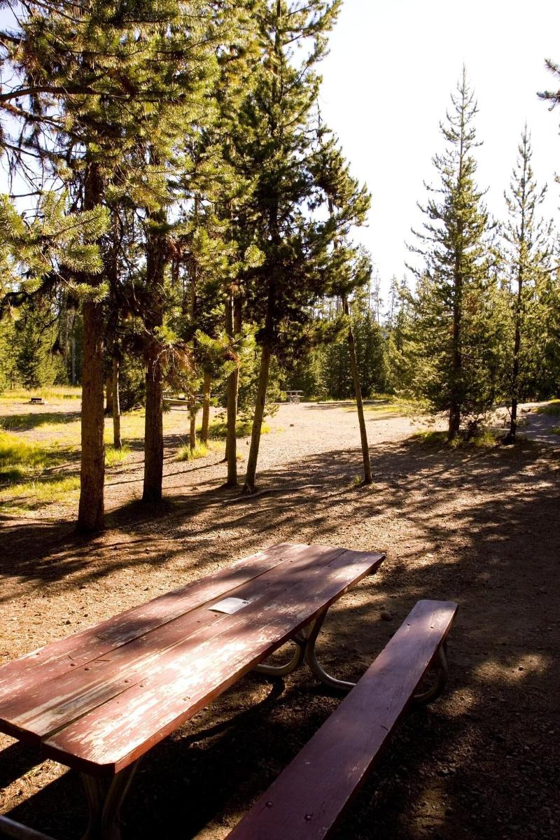 Headwater S Lodge Cabins At Flagg Ranch HAB