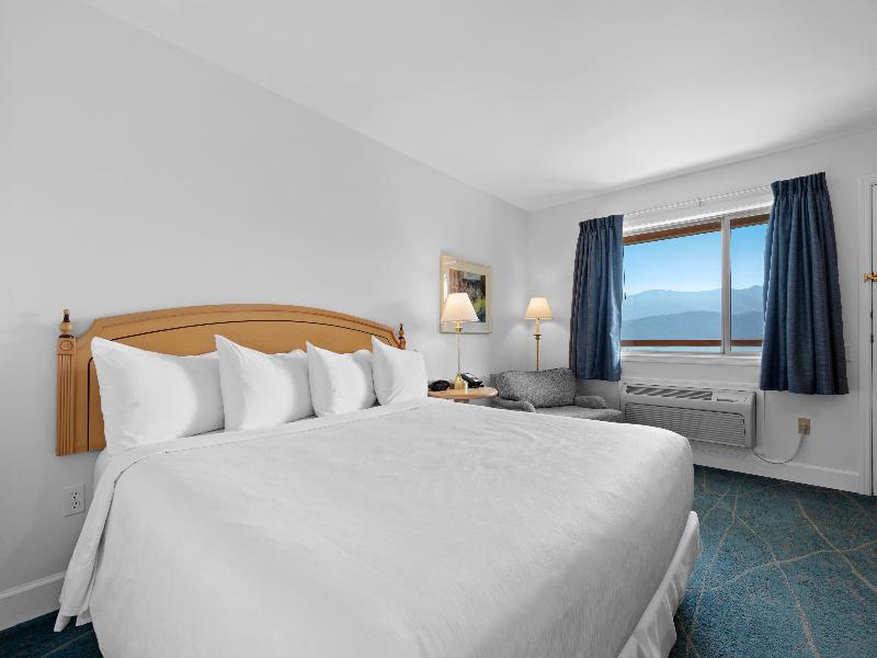 Kootenay Lakeview Resort , BW Signature Collection image
