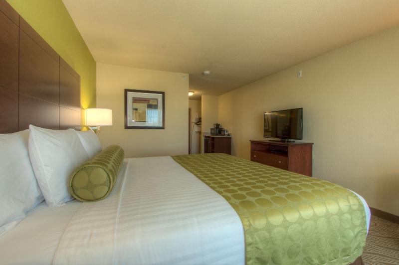 Cobblestone Inn & Suites - Holyoke image 2