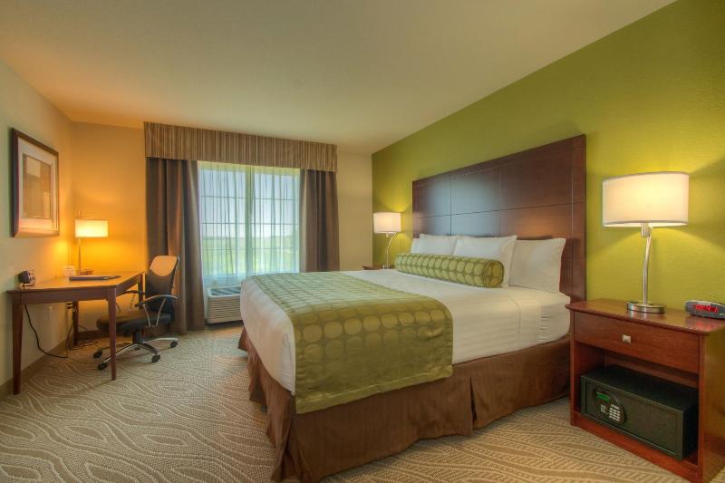 Cobblestone Inn & Suites - Holyoke image