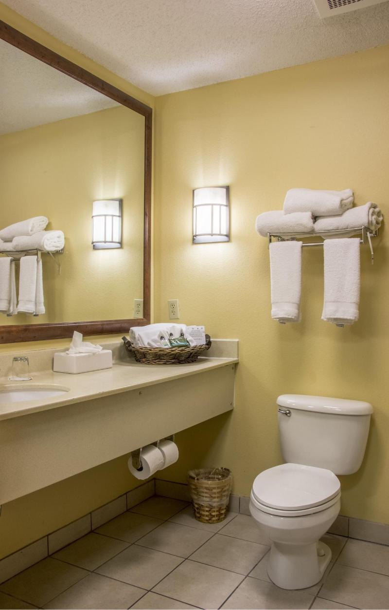 MCM Elegante Lodge & Suites Ruidoso image