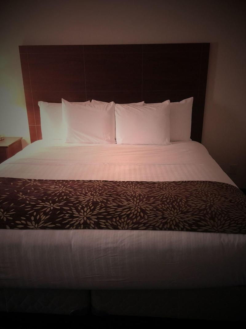 Boarders Inn & Suites by Cobblestone Hotels – Br image
