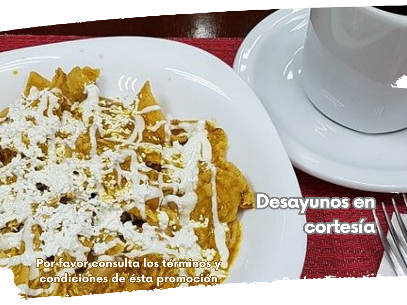 Hotel Ashly