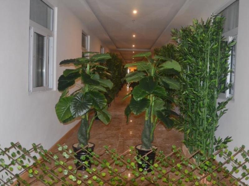 Greentree Alliance Liaocheng Dongchangfu District image