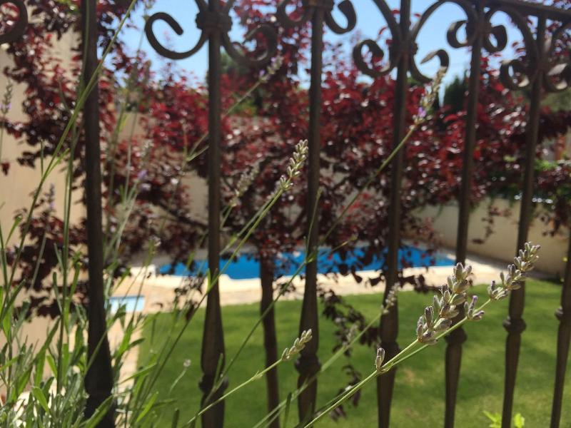 Hotel Castellote image