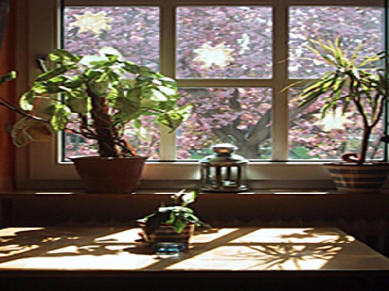 Hotel Rosengarten Kehl image