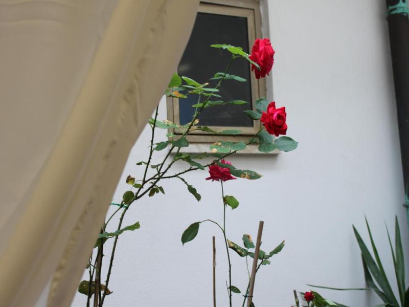 Hotel Dalmazia image