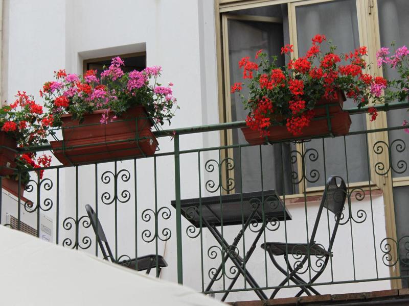 Hotel Dalmazia image