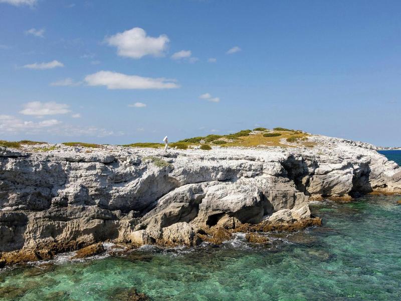 Salterra, a Luxury Collection Res & Spa, S Caicos image