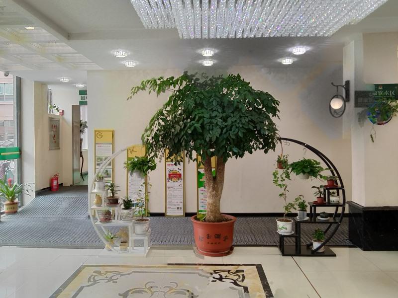 GreenTree Inn Alliance Xinyang Pingqiao Nanjing Rd