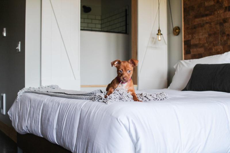 Inn At Discovery Coast image