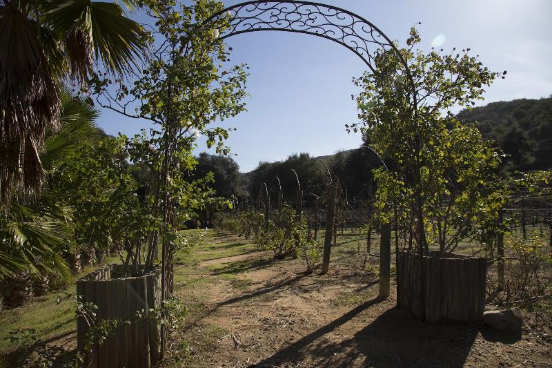 Vineyard Hacienda image